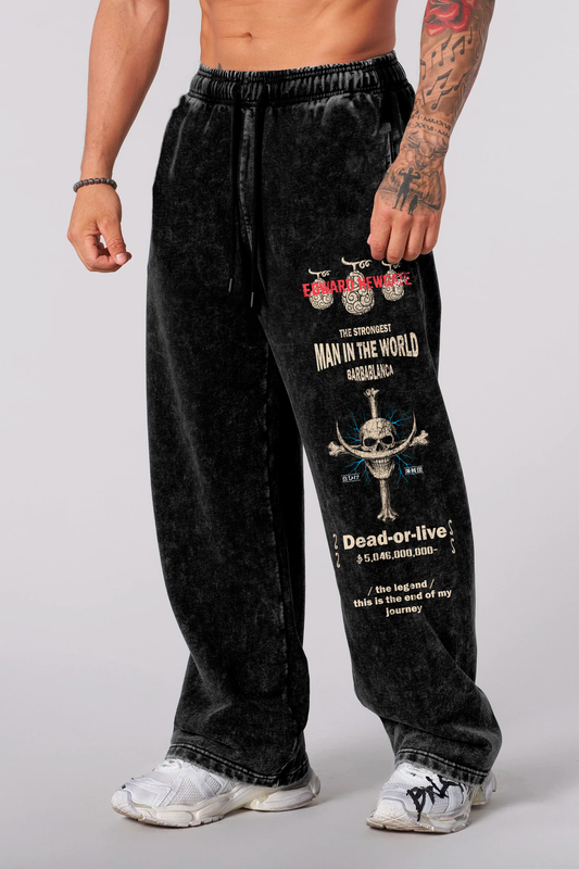 Imported Baggy Style Trouser for Men